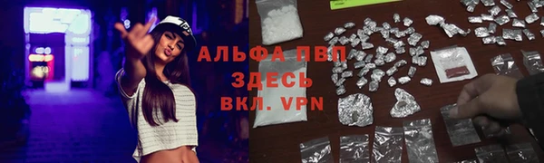 ECSTASY Всеволожск
