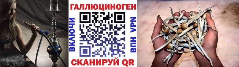 Галлюциногенные грибы Cubensis  сколько стоит  Новомичуринск 